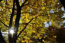 DSC_0534.webp