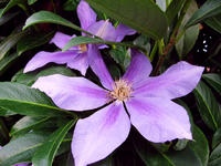 beauty of worchester oktober 13.webp