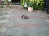 2013-09-01 18.54.56.webp