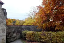 2013_1021Herbst0038 lichtens.webp