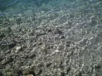 Steine.webp