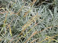 024.webp
