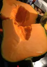 Kürbis4.webp