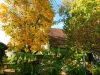 Goldener Oktober_0008.webp