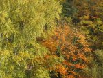 Bild 2066.jpg