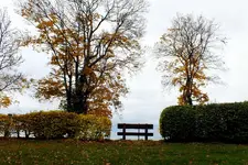 2013_1021Herbst0040 lichtenst.webp