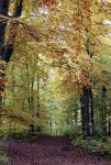 2013_1021Herbst0076 weg.jpg