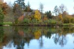 2013_1022Herbst0014 dito.jpg