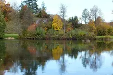 2013_1022Herbst0014 dito.webp