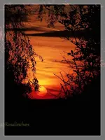 Sonnenauf (6).webp