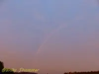 Regenbogen.webp
