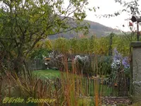 Garten.webp