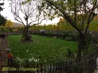 Herbstl. Garten.webp