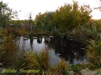Teich.webp