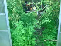 Alte GWH.webp