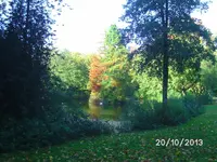 Herbstgrüße (3).webp