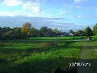 Herbstgrüße (5).webp