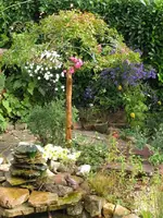 rosenschirm.webp