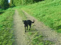 Anka.webp