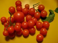 IMG_5072.webp