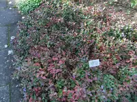 DSCF7625.webp
