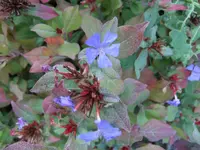 DSCF7626.webp