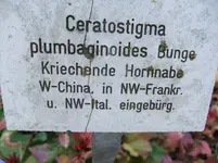DSCF7627.webp