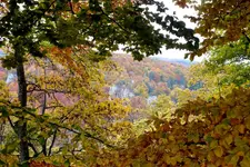 2013_1021Herbst0072  ,,.webp