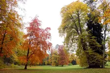 2013_1021Herbst0079 park -.webp