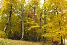 2013_1021Herbst0085.webp