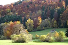 2013_1022Herbst0059 hütte.webp