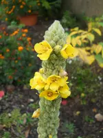 DSCN2646.webp