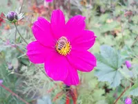 DSCN2644.webp