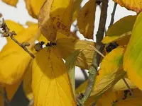 013.webp