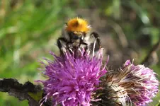 2013_1022Herbst0050.webp