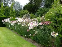 DSCF0507.webp