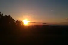 IMAG1472.webp