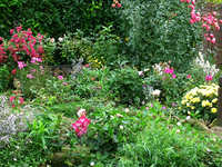 garten 25.10.2013.webp