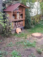 Neuer Schwerpunkt Obergarten.webp