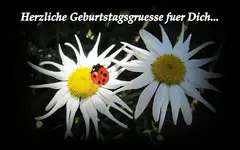 Copy of Copy of IMG_0988.webp