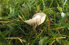 2013_1022Herbst0063.webp