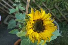 2013_1022Herbst0070.webp