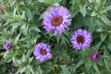 2013_1022Herbst0085.webp