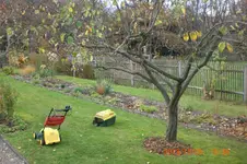 Garten2 10 2013 001.webp