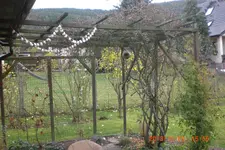 Garten2 10 2013 003.webp