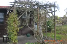 Garten2 10 2013 005.webp