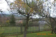 Garten2 10 2013 007.webp
