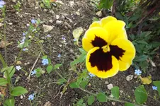 2013_1026Herbst0007.webp