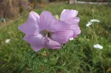 2013_1026Herbst0021.webp