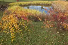 2013_1026Herbst0033.webp